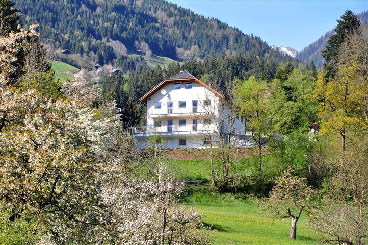Haus Pflaum Apartment Dellach im Drautal Luaran gambar